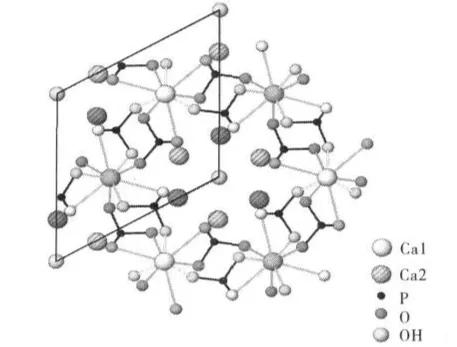 羟基磷灰石结构图图片